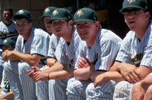 dugout 1.jpg